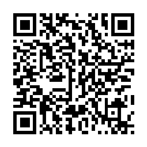 WhatsApp QR